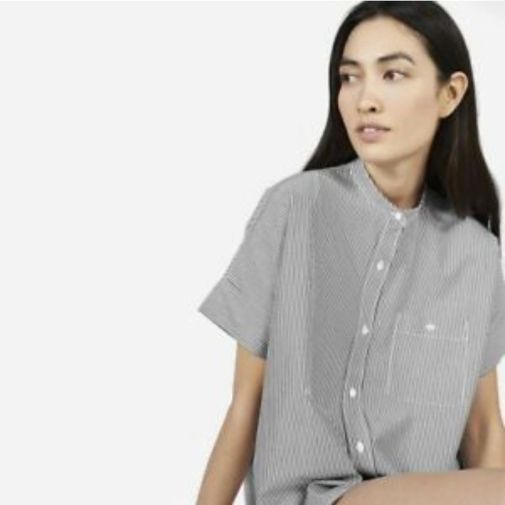 Everlane Women's Gray/White The Striped Cotton Poplin Square Shirt Size 4